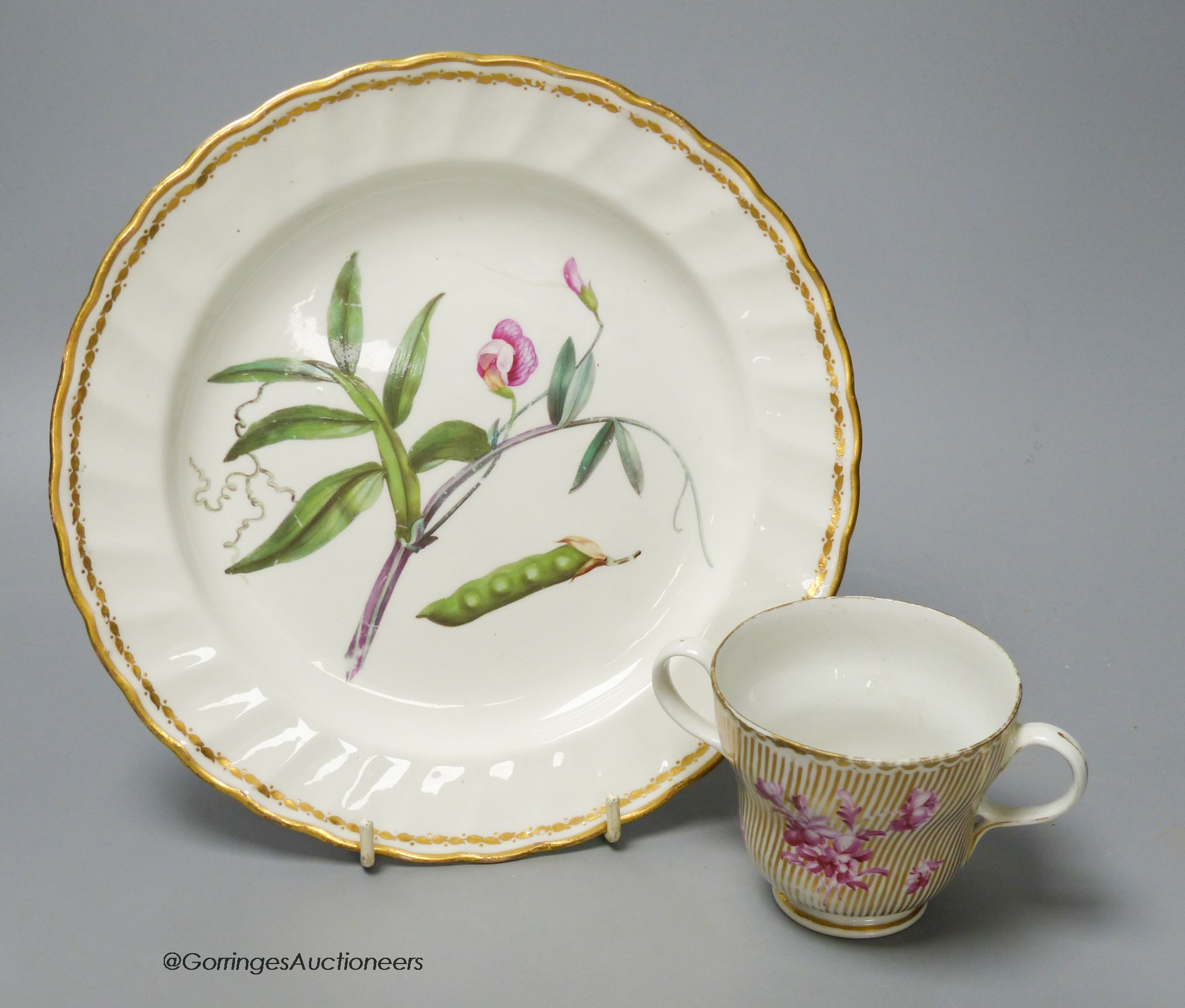 A Derby botanical plate painted with jointed prodded Lathyrus, titled, blue mark pattern 141, 22.5cm diameter and a Chelsea Derby period two-handled chocolate cup with puce flowers on a line gilded ground